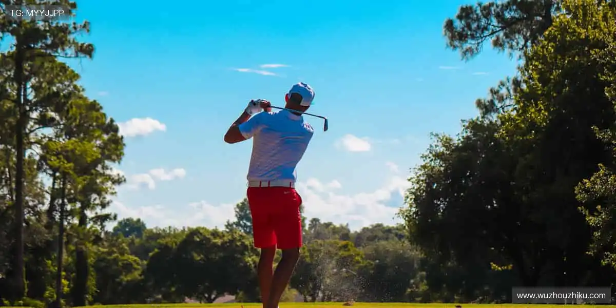 高清多品类盛宴：视讯麻将真人捕鱼，嗨玩升级中